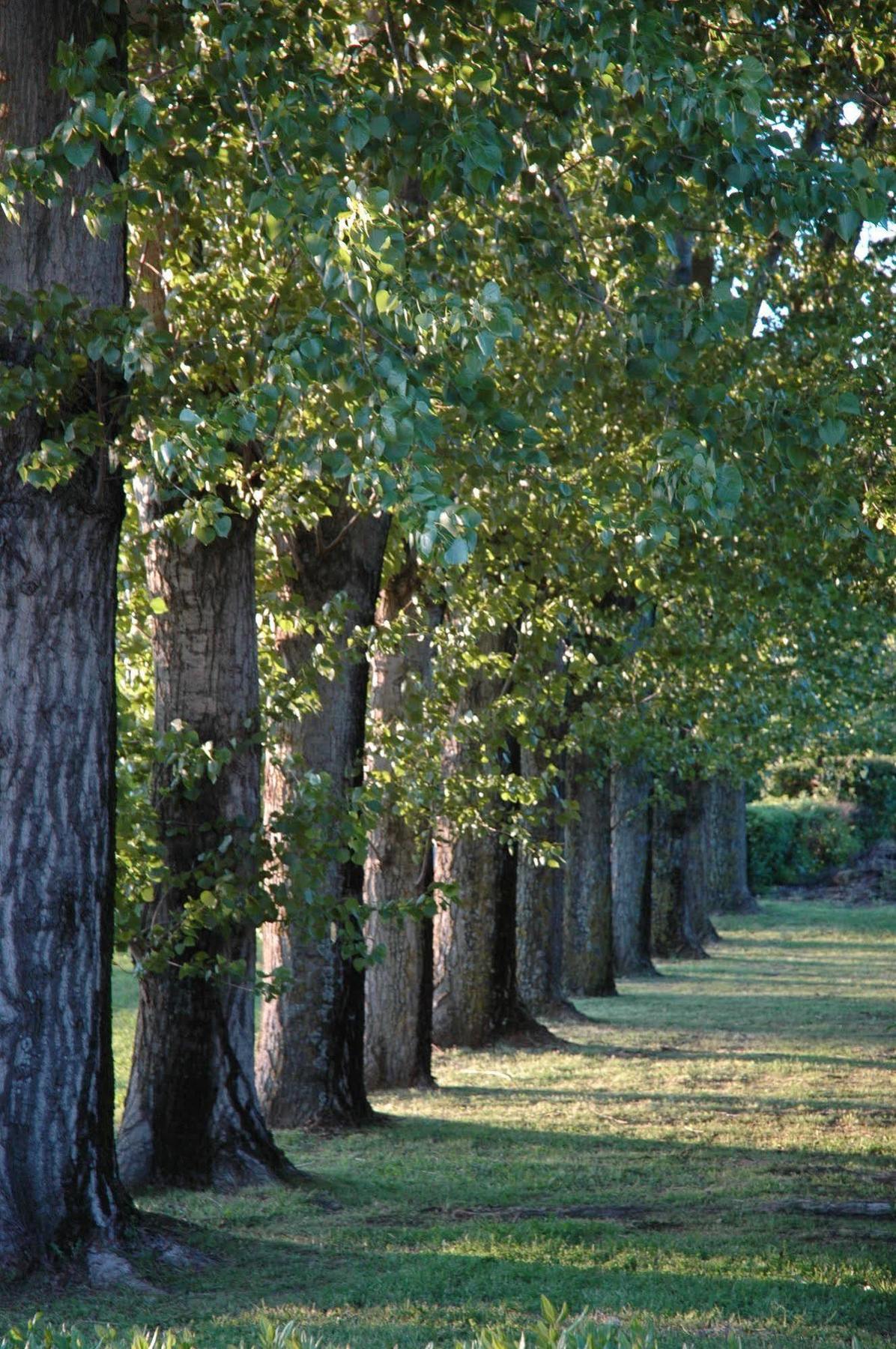 Hotel La Bastide Saint Martin Каркассон Экстерьер фото